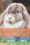The Velveteen Rabbit: How Toys Become Real