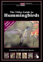 The Video Guide to Hummingbirds - 