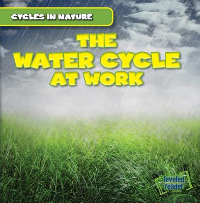 The Water Cycle at Work - Pendergast, George
