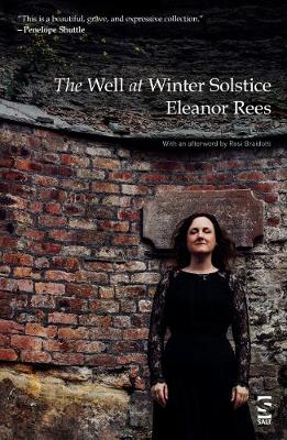 The Well at Winter Solstice - Rees, Eleanor, and Braidotti, Rosi (Afterword by)