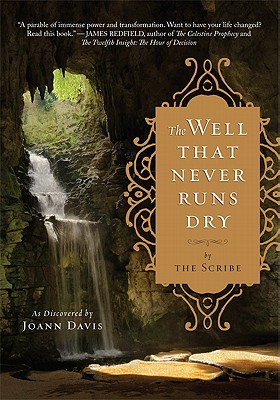 The Well That Never Runs Dry - Davis, Joann