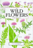 The Wild Flowers of the British Isles - Streeter, David