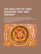 The Wild Life of Lake Superior, Past and Present: The Habits of Deer, Moose, Wolves, Beavers, Muskrats, Trout, and Feathered Wood-Folk Studied with Camera and Flashlight