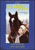 The Wild Pony - Kevin Sullivan