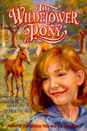 The Wildflower Pony: Sequel to the Rainbow Pony