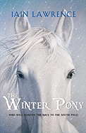 The Winter Pony