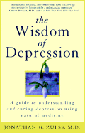 The Wisdom of Depression: A Guide to Understanding and Curing Depression Using Natural Medicine