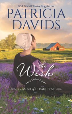 The Wish: A Clean & Wholesome Romance - Davids, Patricia