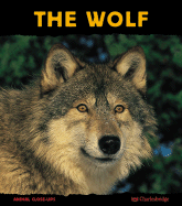 The Wolf: Night Howler