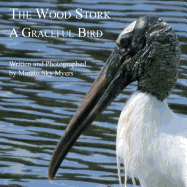 The Wood Stork: A Graceful Bird