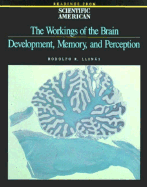 The Workings of the Brain: Development, Memory, and Perception: Readings from Scientific American Magazine - Llinas, Rodolfo R