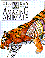 The X-Ray Picture Book of Amazing Animals