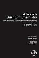 Theory of Heavy Ion Collision Physics in Hadron Therapy: Volume 65