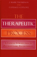 Therapeutic Process: A Clinical Introduction to Psychodynamic Psychotherapy