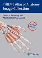 Thieme Atlas of Anatomy Image Collection--General Anatomy and Musculoskeletal System (Thieme Atlas of Anatomy Series)