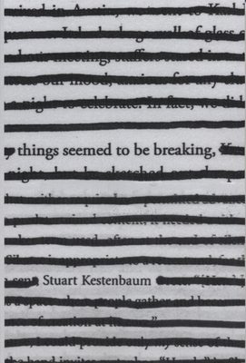 Things Seemed to Be Breaking - Kestenbaum, Stuart