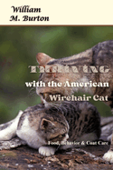 Thriving with the American Wirehair Cat: Food, Behavior & Coat Care