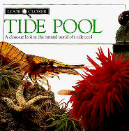 Tide Pool