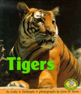 Tigers - DuTemple, Lesley A