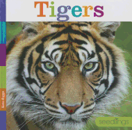 Tigers