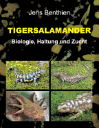 Tigersalamander: Biologie, Haltung und Zucht