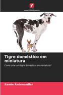 Tigre dom?stico em miniatura