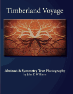 Timberland Voyage: Tree Abstract & Symmetry Art Photography