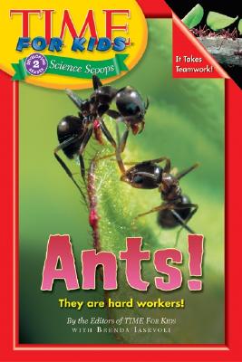 Time For Kids: Ants! - Time For Kids, Editors