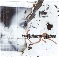 Too Bad You're Beautiful - From Autumn to Ashes