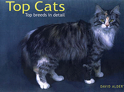 Top Cats: Top Breeds in Detail