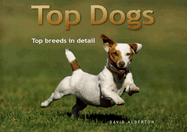 Top Dogs: Top Breeds in Detail