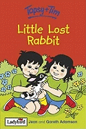 Topsy and Tim: Little Lost Rabbit