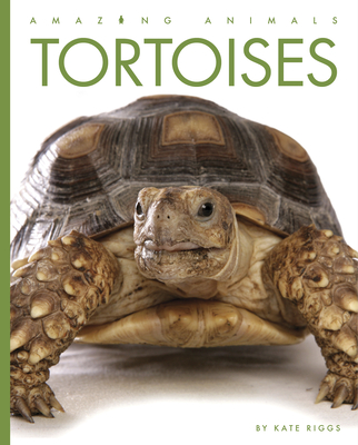 Tortoises - Riggs, Kate