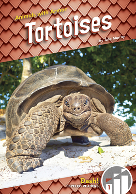 Tortoises - Murray, Julie