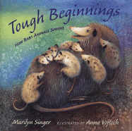 Tough Beginnings: How Baby Animals Survive - Singer, Marilyn