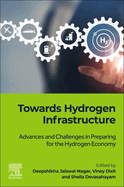 Towards Hydrogen Infrastructure: Advances and Challenges in Preparing for the Hydrogen Economy