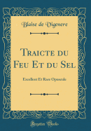 Traicte du Feu Et du Sel: Excellent Et Rare Opuscule (Classic Reprint)