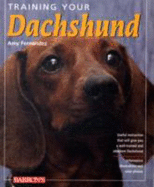 Training Your Dachshund