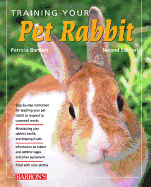 Training Your Pet Rabbit