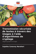 Transmission scurise de textes  travers des images  l'aide d'algorithmes de cryptage
