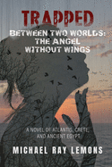 Trapped Between Two Worlds: The Angel Without Wings