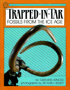 Trapped in Tar: Fossils from the Ice Age