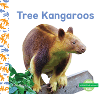 Tree Kangaroos