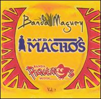 Tres Grandes Bandas, Vol. 2 - Banda Machos/Banda Pequenos Musical/Banda Maguey