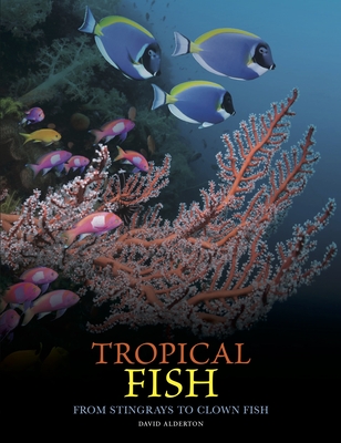 Tropical Fish - Alderton, David
