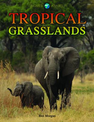 Tropical Grasslands - Morgan, Ben