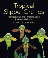 Tropical Slipper Orchids: "Paphiopedilum" & "Phragmipedium" Species & Hybrids - Koopowitz, Harold