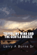 Troubling Wind and the Gentle Breeze