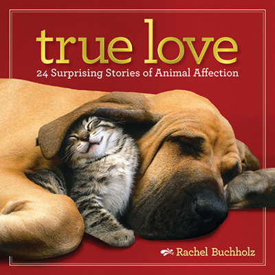 True Love: 24 Surprising Stories of Animal Affection - Buchholz, Rachel