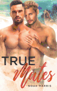True Mates: A Gay Shifter Mpreg
